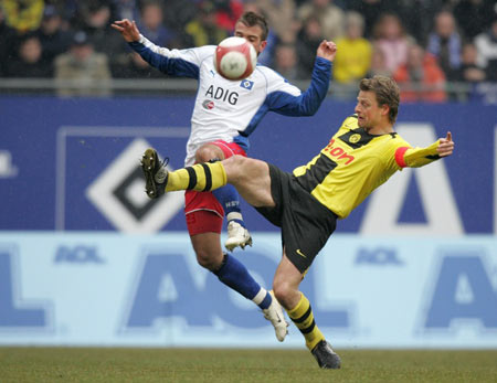 生态养羊 生态养羊